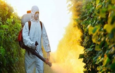 Tratamento fitossanitário e controlo de pragas em espaços verdes