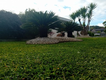 Criação de espaço verde em Lage, Vila Verde