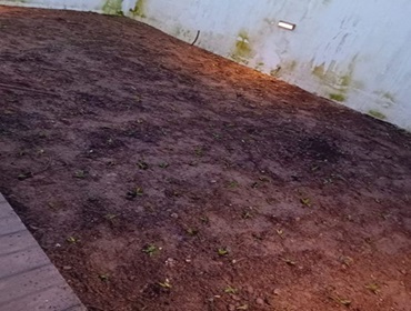Instalação e corte de relvado em Real, Braga