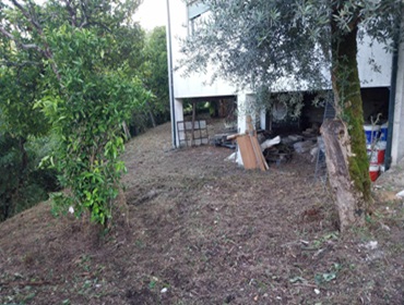 Limpeza e manutenção de terreno em Fafe, Braga